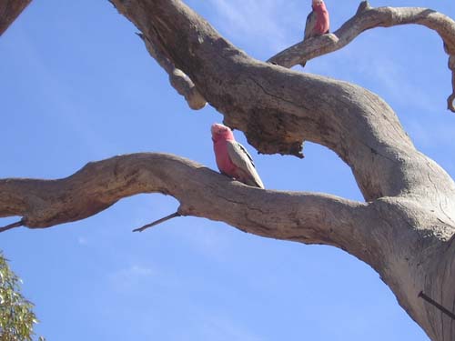 P9010062