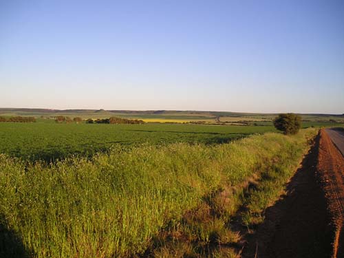 P9010076