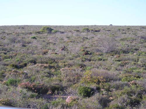 P9010081