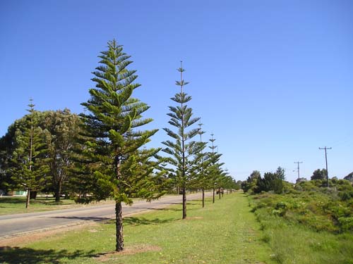 P9030119