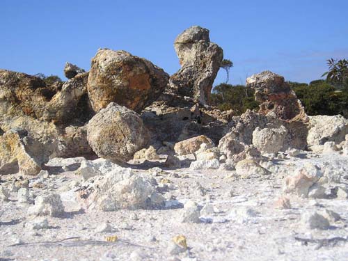 P9040161