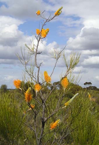 P9040175