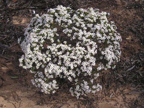 P9050190