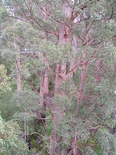 P9070324