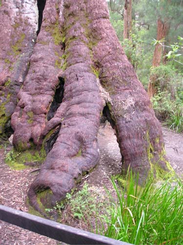 P9070346