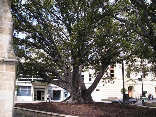P9100504