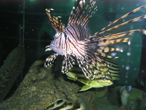 P9100520