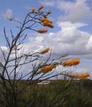 P9040176