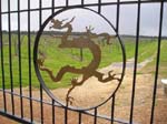 P9080382