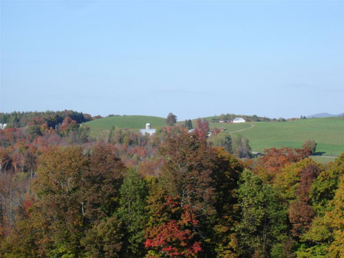 DSC00066